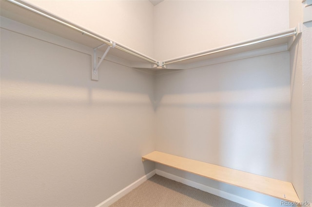 15443 W 65th Ave Unit B, Arvada, CO 80007 - spacious closet featuring carpet floors