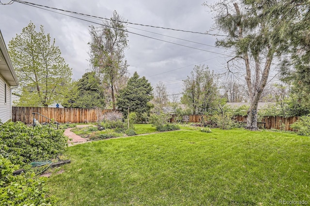 5370 S Sherman St, Littleton, CO 80121 - view of yard