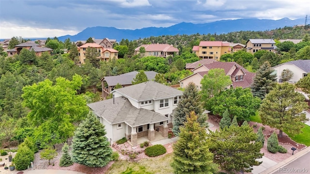2175 Wake Forest Ct, Colorado Springs, CO 80918 - photo 7