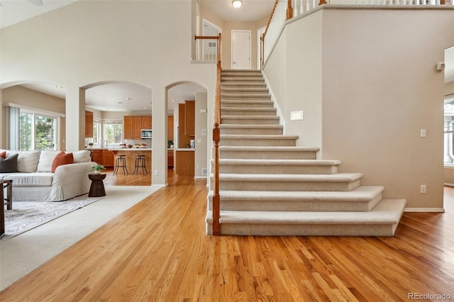 2175 Wake Forest Ct, Colorado Springs, CO 80918 - photo 11
