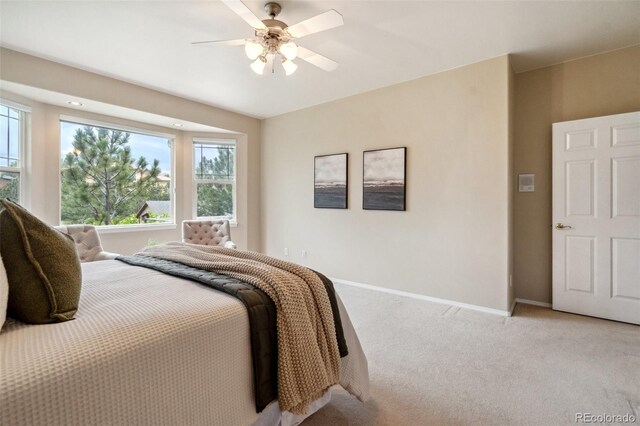 2175 Wake Forest Ct, Colorado Springs, CO 80918 - photo 31