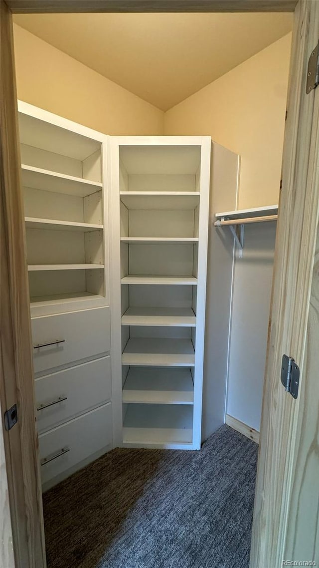 spacious closet featuring carpet