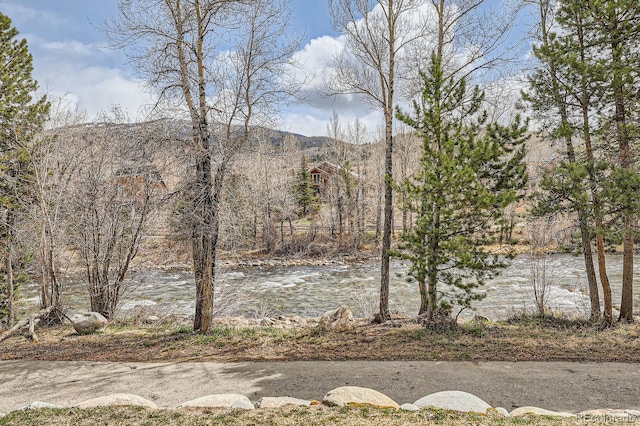 930 Blue River Pkwy Unit 812, Silverthorne, CO 80498 - view of yard with a mountain view