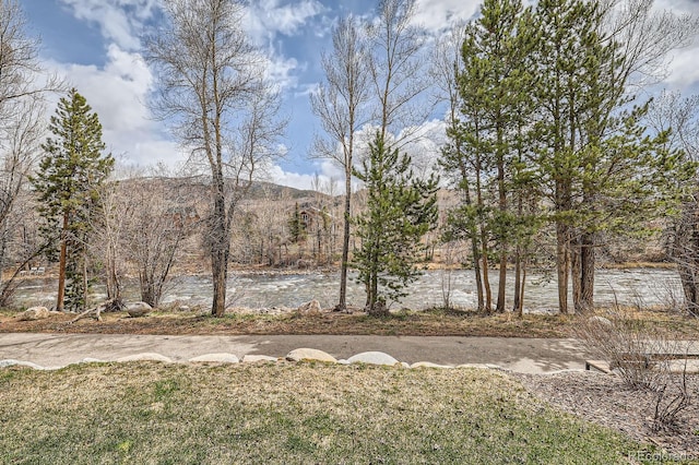 930 Blue River Pkwy Unit 812, Silverthorne, CO 80498 - view of yard featuring a water and mountain view