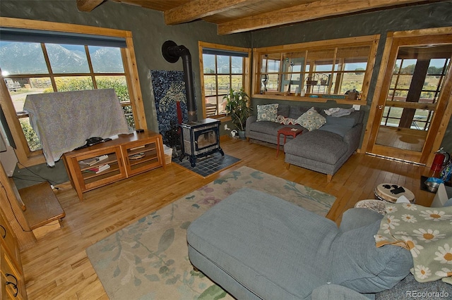 living room featuring plenty of natural light, a wood stove, and light hardwood / wood-style flooring