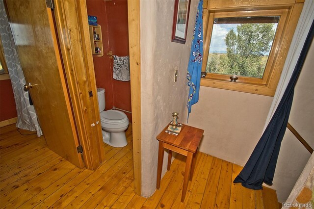 bathroom with toilet and hardwood / wood-style flooring