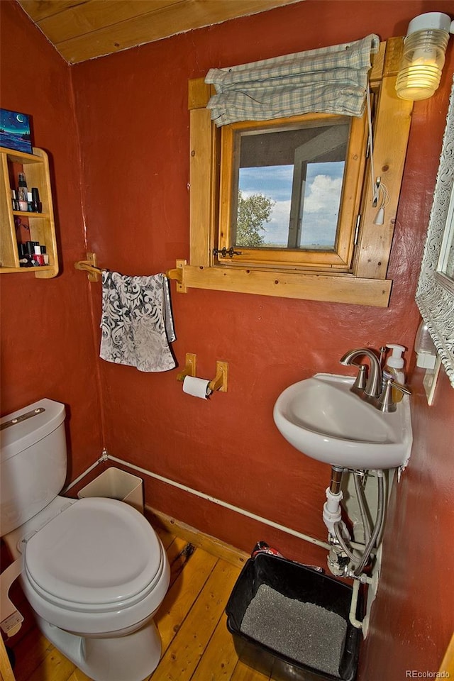 bathroom featuring toilet, wood-type flooring, and sink