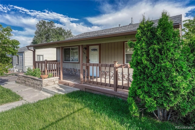 back of property featuring a yard, covered porch, and a shingled roof