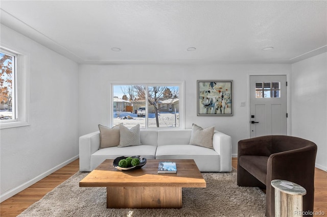 living area featuring a textured ceiling, baseboards, and wood finished floors