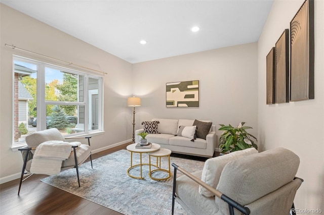 living room featuring hardwood / wood-style floors