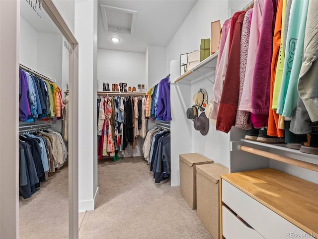 walk in closet with attic access and light colored carpet