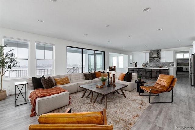 living room featuring light hardwood / wood-style floors and sink