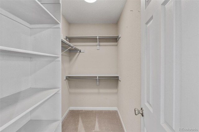 walk in closet with carpet