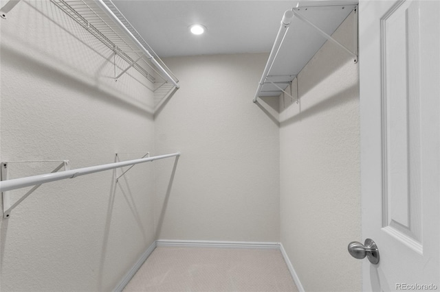 spacious closet featuring carpet floors