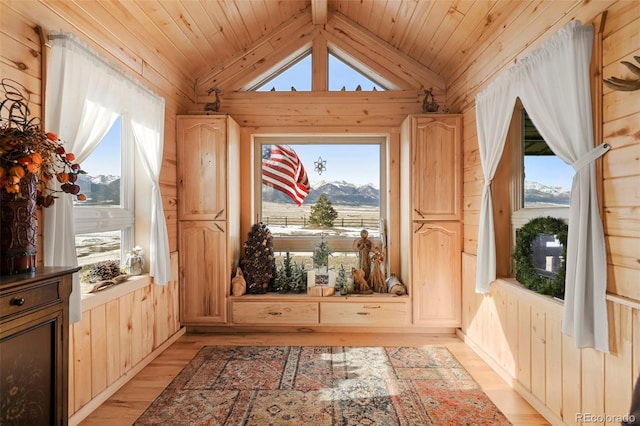 doorway to outside featuring a mountain view, wooden walls, light hardwood / wood-style floors, and lofted ceiling