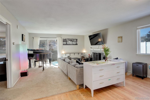 living room featuring baseboards, light wood-style floors, and a textured ceiling