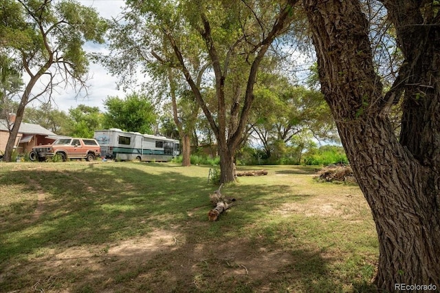 10928 US Highway 50, Las Animas, CO 81054 - photo 26