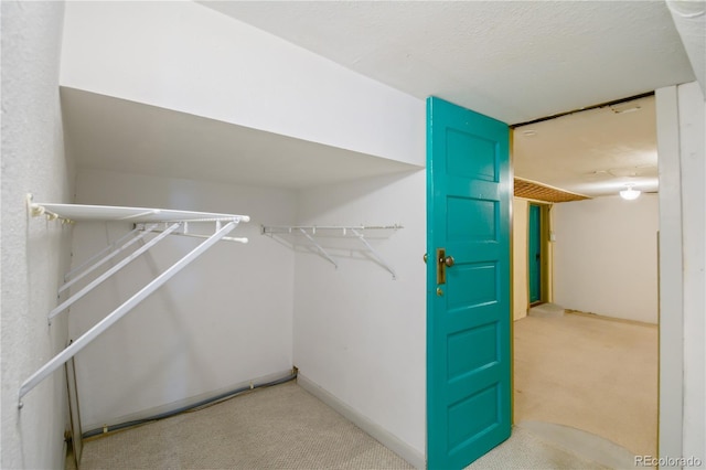 spacious closet with light carpet