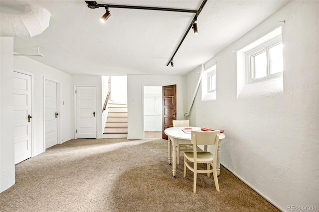 playroom with carpet floors and rail lighting