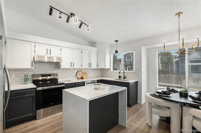 5068 E Crestone Ave, Castle Rock, CO 80104 - kitchen featuring appliances with stainless steel finishes, under cabinet range hood, a sink, a chandelier, and a textured ceiling