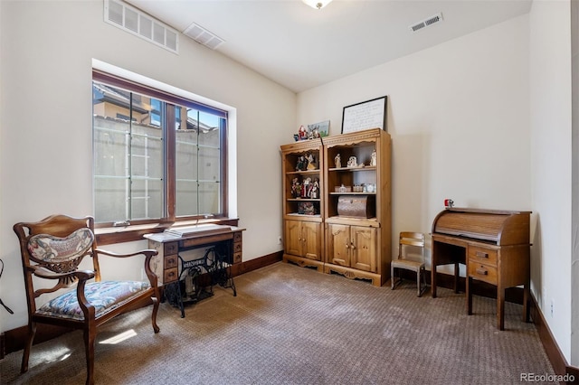 2480 Castle Butte Dr, Castle Rock, CO 80109 - sitting room with carpet flooring, baseboards, and visible vents