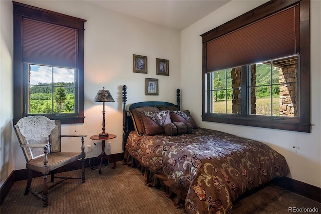 2480 Castle Butte Dr, Castle Rock, CO 80109 - carpeted bedroom with baseboards