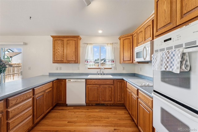 kitchen featuring light wood-type flooring, white appliances, brown cabinets, and a sink