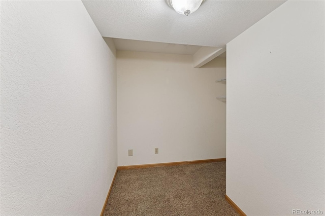 spacious closet with carpet