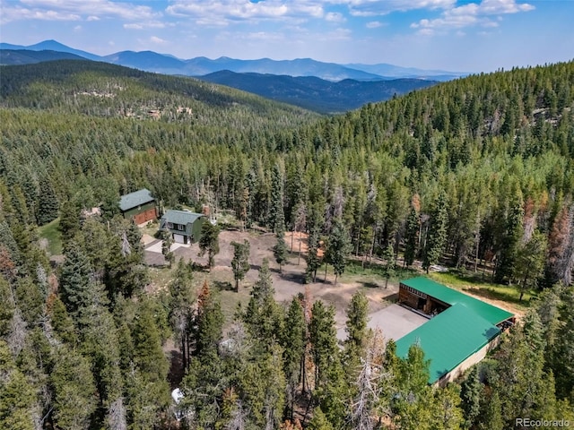 8774 Spring Dr, Conifer, CO 80433 - photo 38