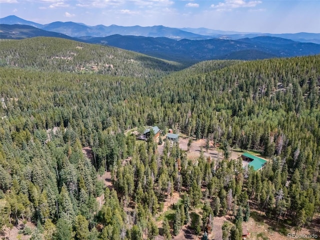 8774 Spring Dr, Conifer, CO 80433 - photo 41