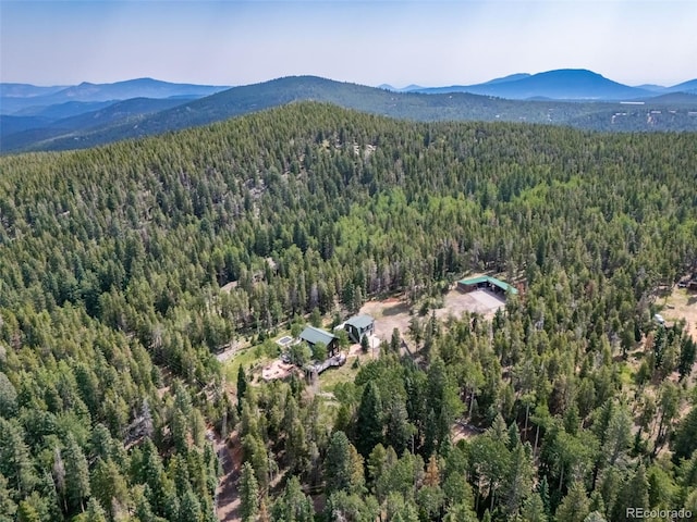 8774 Spring Dr, Conifer, CO 80433 - photo 42