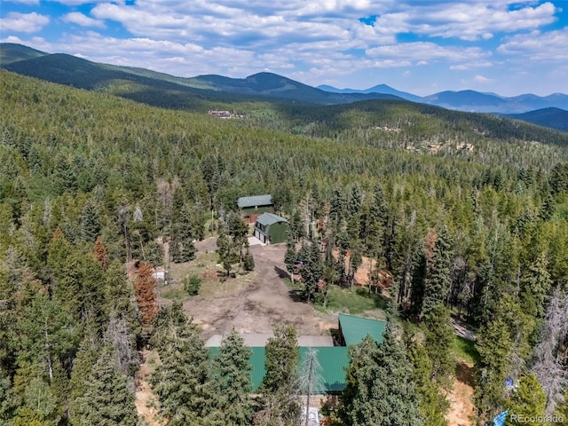 8774 Spring Dr, Conifer, CO 80433 - photo 43