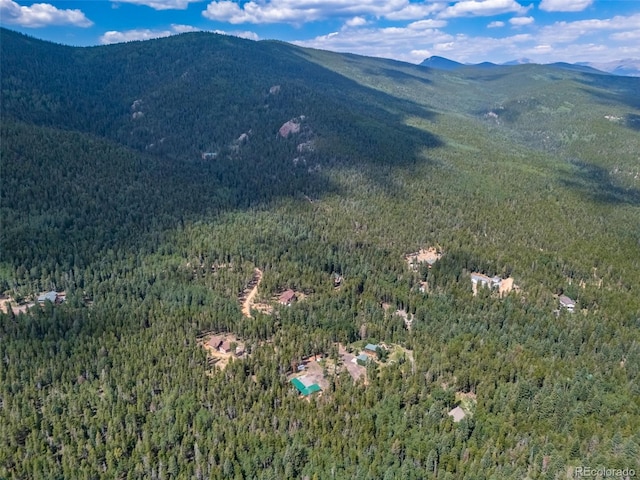 8774 Spring Dr, Conifer, CO 80433 - photo 44