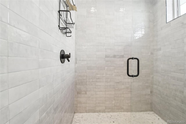 bathroom with a stall shower