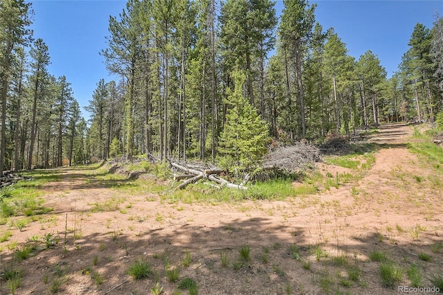 7 S Wallace Ave, Conifer, CO 80433 - photo 2