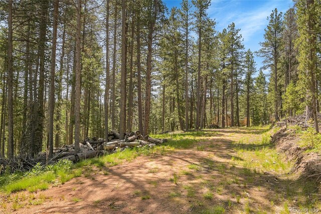 7 S Wallace Ave, Conifer, CO 80433 - photo 3
