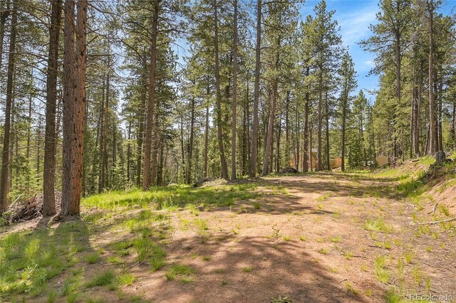 7 S Wallace Ave, Conifer, CO 80433 - photo 4