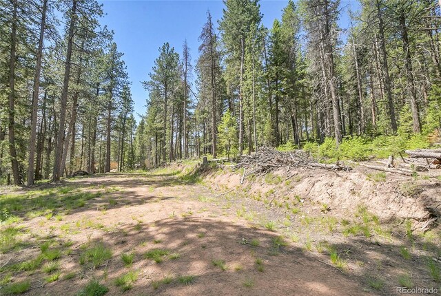 7 S Wallace Ave, Conifer, CO 80433 - photo 5