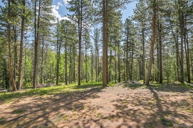 7 S Wallace Ave, Conifer, CO 80433 - photo 6