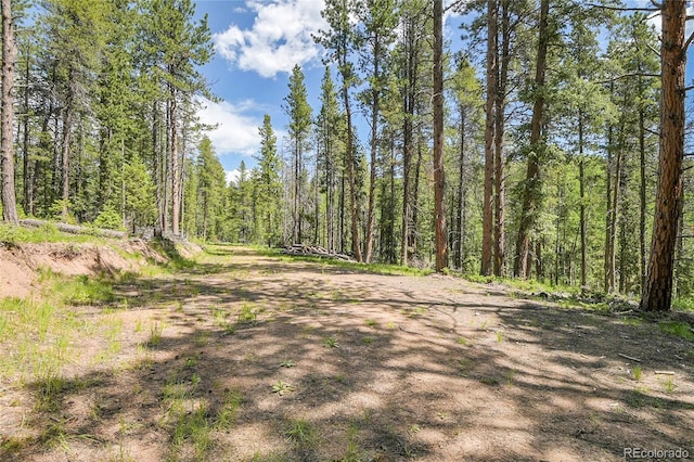 7 S Wallace Ave, Conifer, CO 80433 - photo 7
