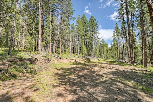 7 S Wallace Ave, Conifer, CO 80433 - photo 8
