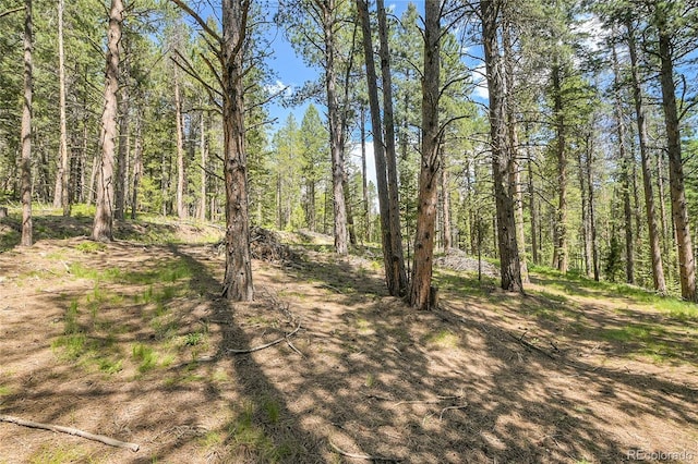 7 S Wallace Ave, Conifer, CO 80433 - photo 9