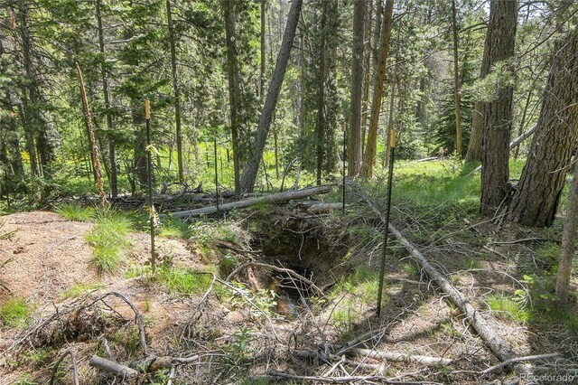 7 S Wallace Ave, Conifer, CO 80433 - photo 10