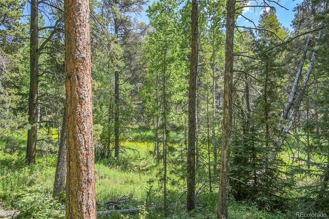 7 S Wallace Ave, Conifer, CO 80433 - photo 11