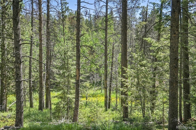 7 S Wallace Ave, Conifer, CO 80433 - photo 12
