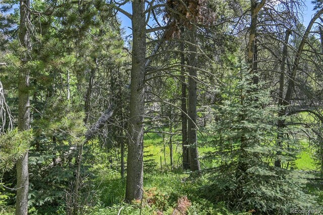 7 S Wallace Ave, Conifer, CO 80433 - photo 13