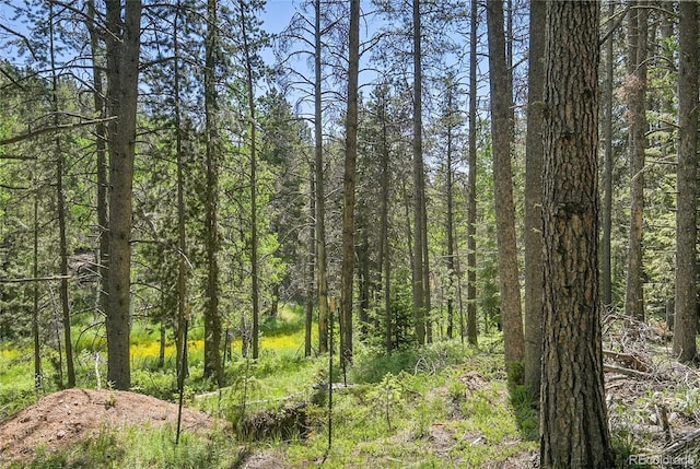 7 S Wallace Ave, Conifer, CO 80433 - photo 14