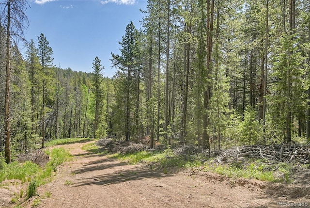 7 S Wallace Ave, Conifer, CO 80433 - photo 15
