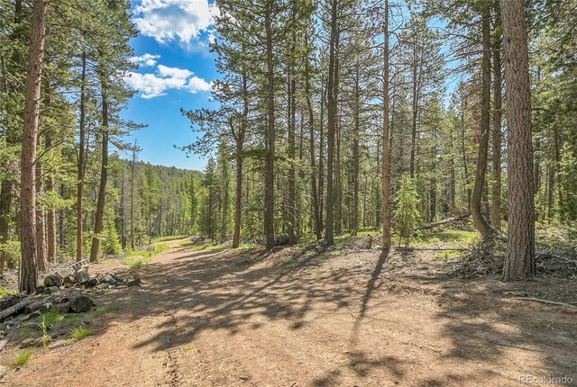 7 S Wallace Ave, Conifer, CO 80433 - photo 16