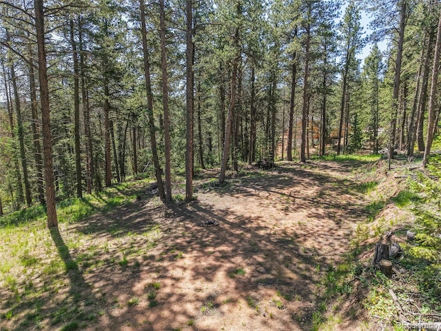 7 S Wallace Ave, Conifer, CO 80433 - photo 17